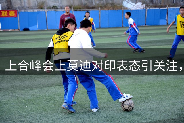 上合峰会上莫迪对印表态引关注，各方博弈显现南亚复杂格局